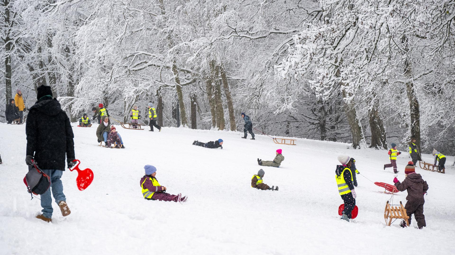 Winterwetter im Norden: Kräftige Schneefälle erwartet