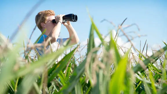 Ein Junge sieht mit einem Fernglas au einem Kornfeld