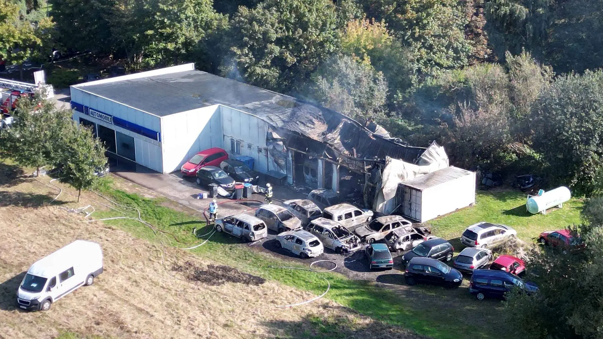 brand