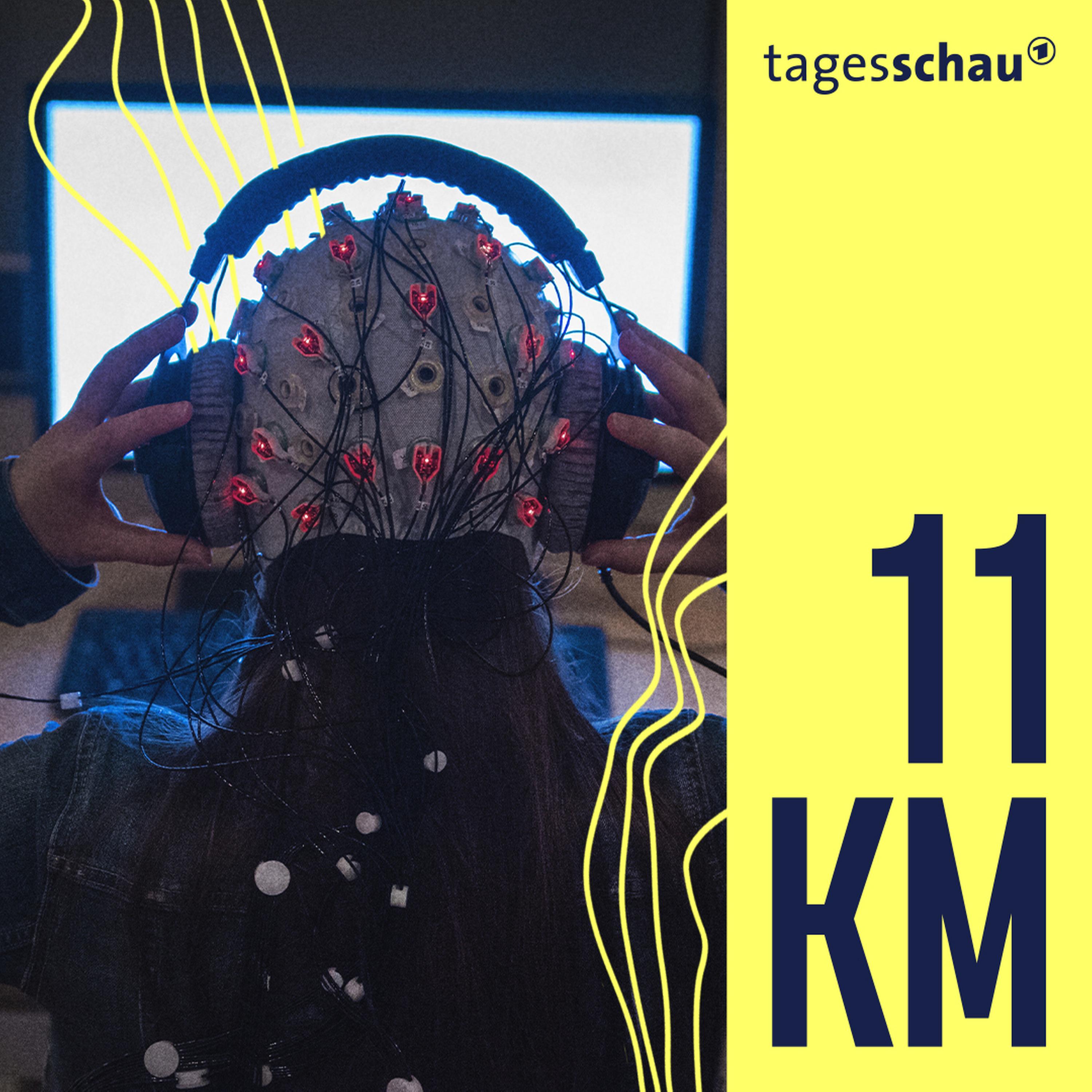 Ab in die Zukunft? - Wie Biocomputer mit lebenden Gehirnzellen funktionieren