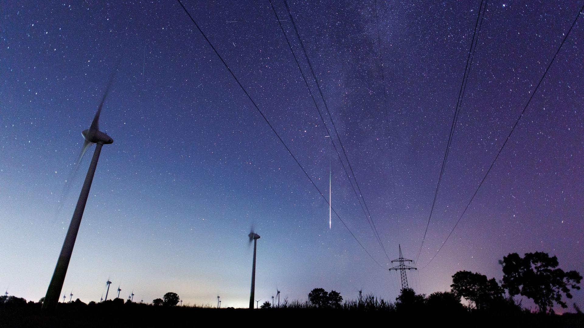 Eine Sternschnuppe ist am Nachthimmel zu sehen. | picture alliance / dpa | Matthias Balk