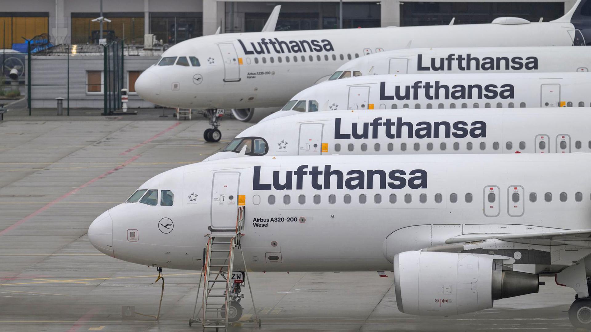 Geparkte Lufthansa-Flugzeuge stehen am Frankfurter Flughafen. | dpa, Hannes P. Albert