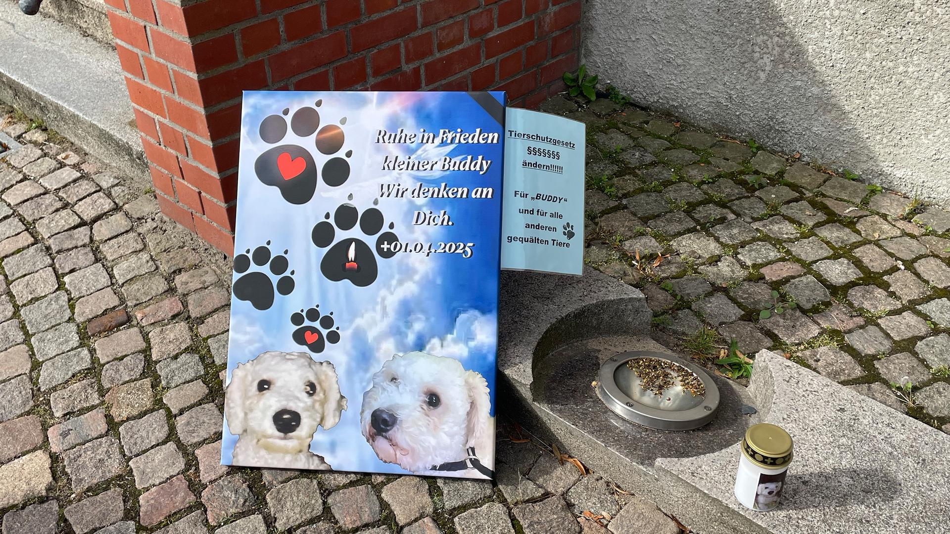 Hund in Flensburg erhängt: Bewährungsstrafe für 38-Jährigen