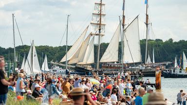 Zahlreiche große und kleine Segelschiffe fahren während der Windjammerparade auf der Kieler Förde.
