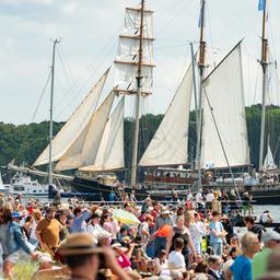 Zahlreiche große und kleine Segelschiffe fahren während der Windjammerparade auf der Kieler Förde.