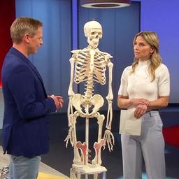 Ralf Oheim und Julia Fischer stehen im Studio neben einem Skelett.