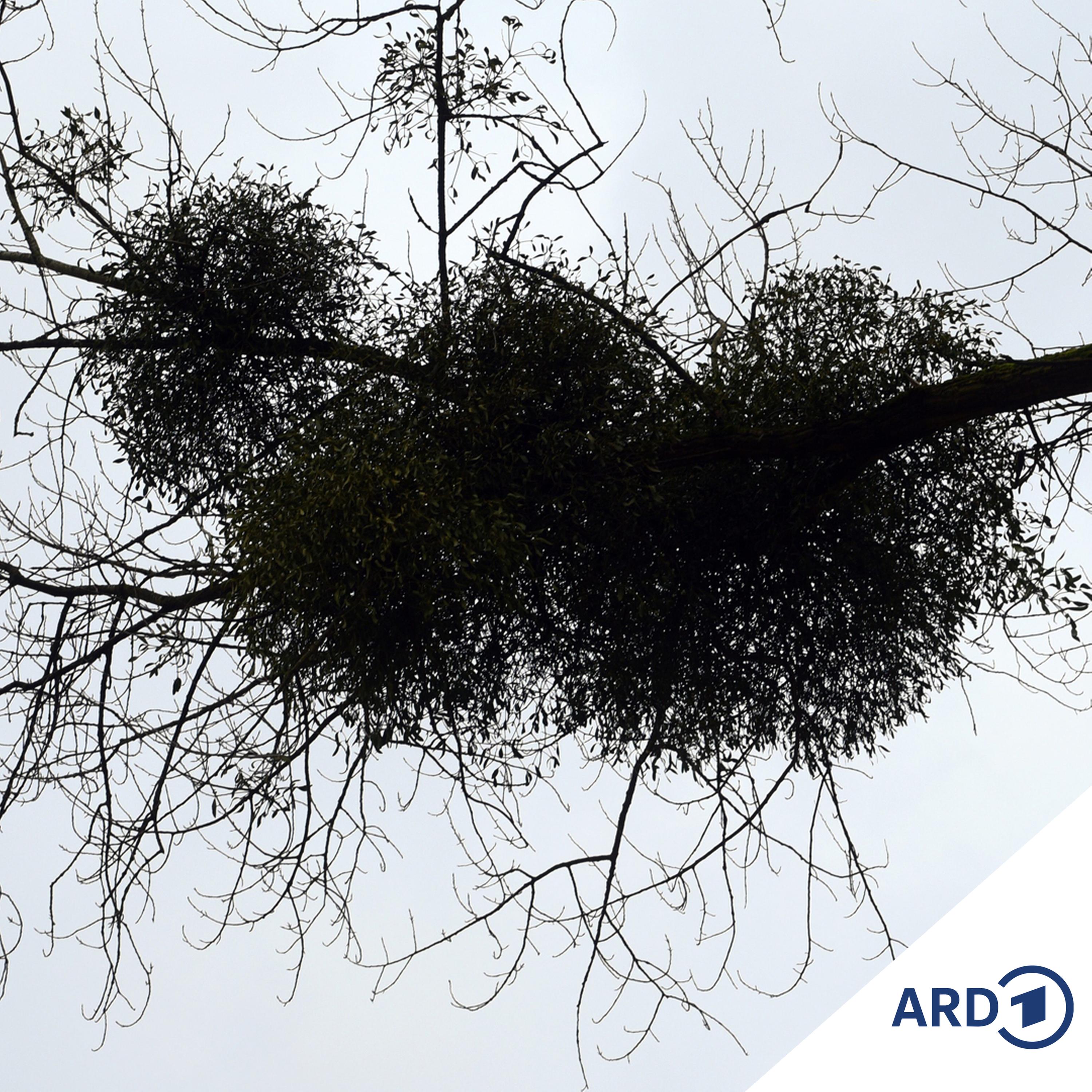 Der abwesende Gott - Über das Böse