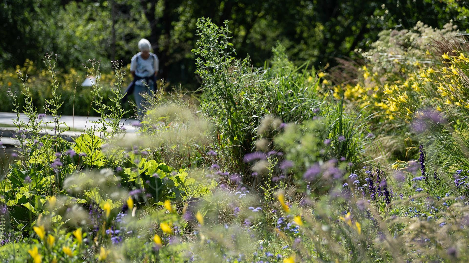 Verein will Landesgartenschau nach Schwerin holen