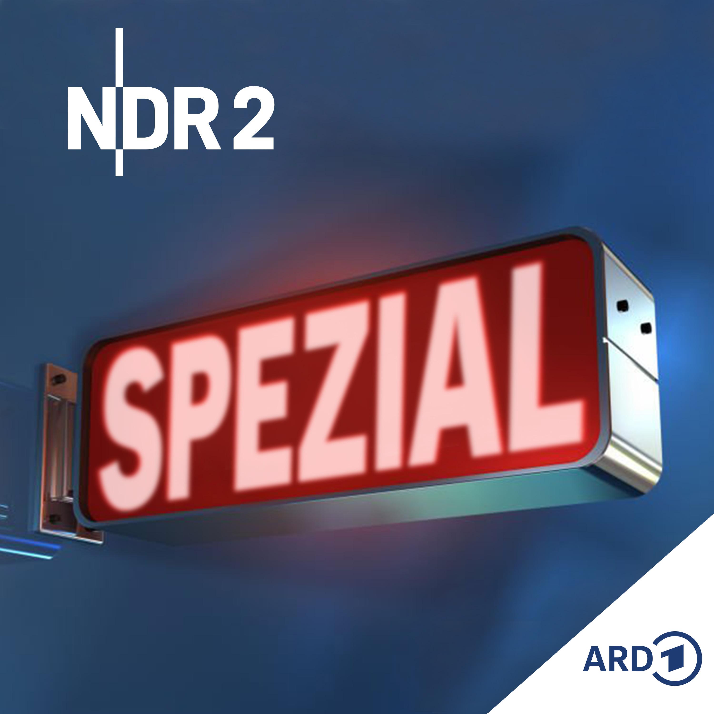 NDR 2 Spezial - Frohes Fest: Wie wird Weihnachten harmonisch?
