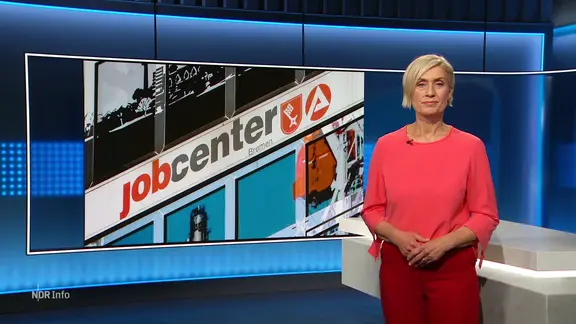 Schafwolle: Langzeitdünger statt Textilien | ndr.de