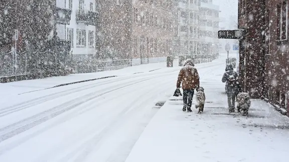 Hunde und ihre Besitzer bahnen sich in Leer ihren Weg auf dem verschneiten Bürgersteig.