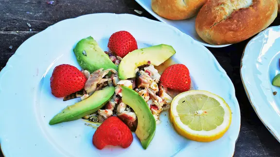 Schlaue Schleie im Waldsee | ndr.de Schlaue Schleie im Waldsee | ndr.de