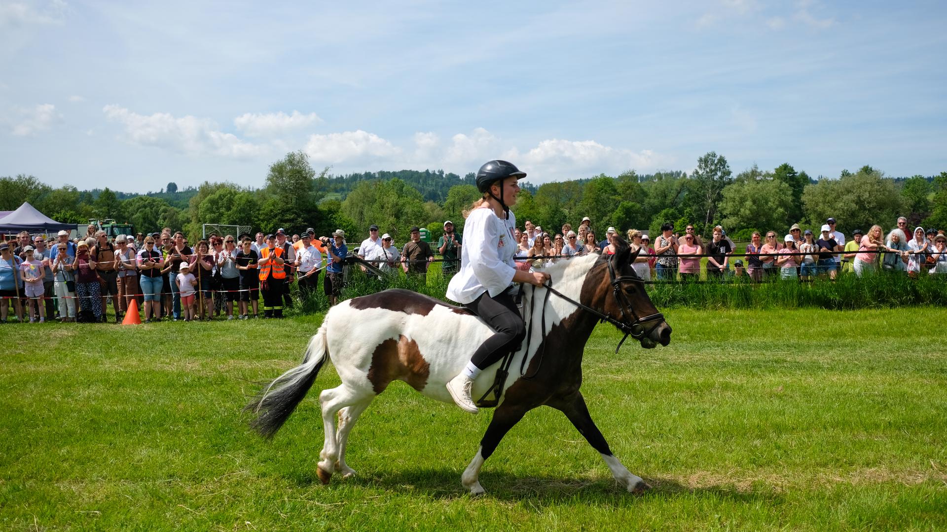 Eine Reiterin beim traditionellen Kranzreiten in Förste | NDR, Sibylle Kölmel
