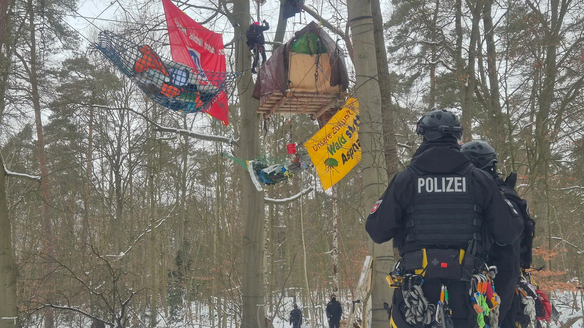 Protest gegen A39: Polizei räumt Baumbesetzung im Lüner Holz | ndr.de