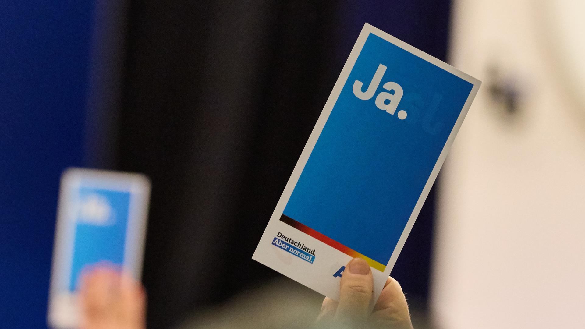 AfD-Parteitag in Wandsbek: Nockemann bleibt Landeschef