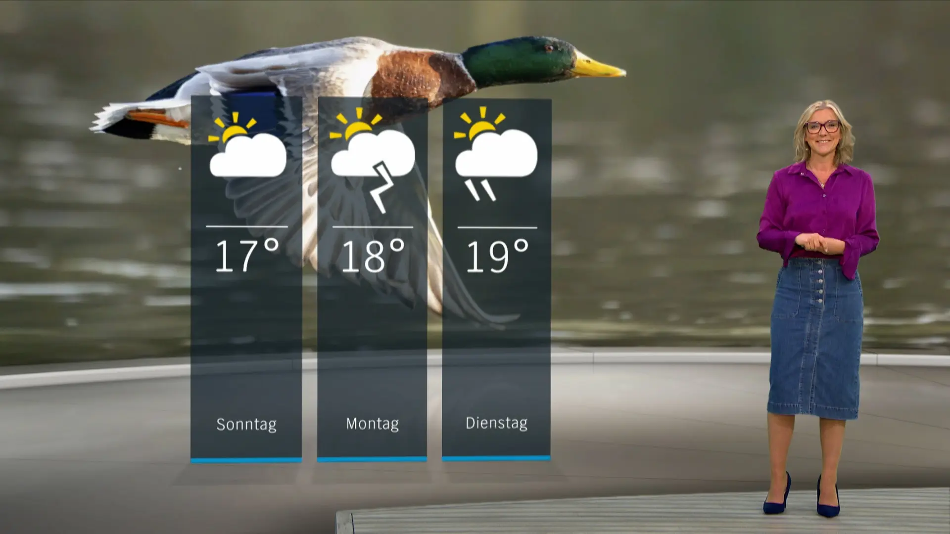 So wird das Wetter in Schleswig-Holstein
