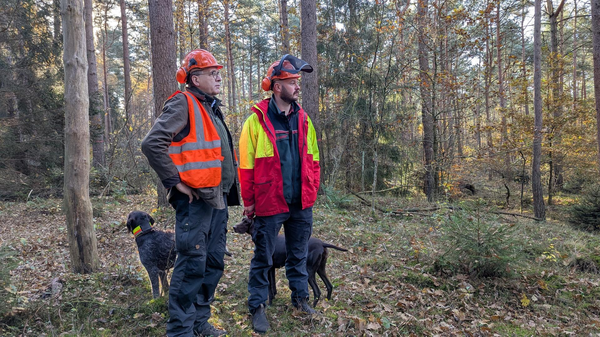 Jan Fiddy Winkelhake und Gerd Dählmann stehen im Wald, hinter ihnen zwei Hunde. | NDR, Christopher Haar