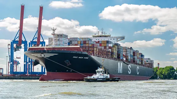 Ein Containerschiff der Reederei MSC läuft das HHLA-Terminal Tollerort im Hamburger Hafen an.