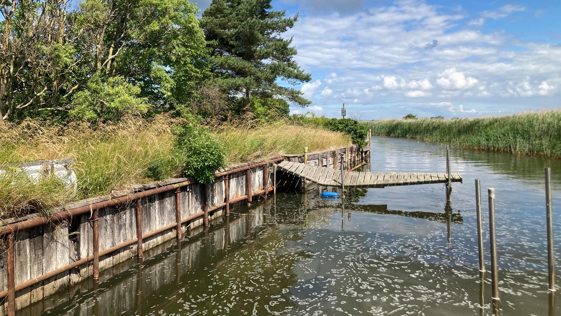 Alte Hafenanlage am Barther Bodden verschwindet
