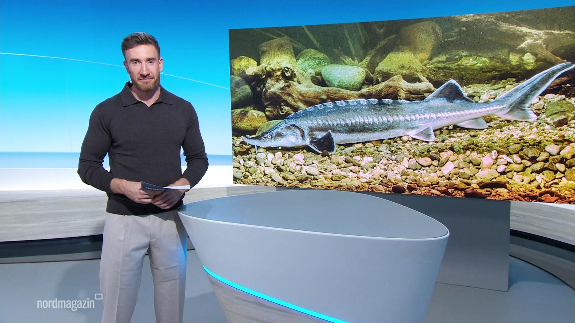 Nordmagazin - Land und Leute | 02.10.2025