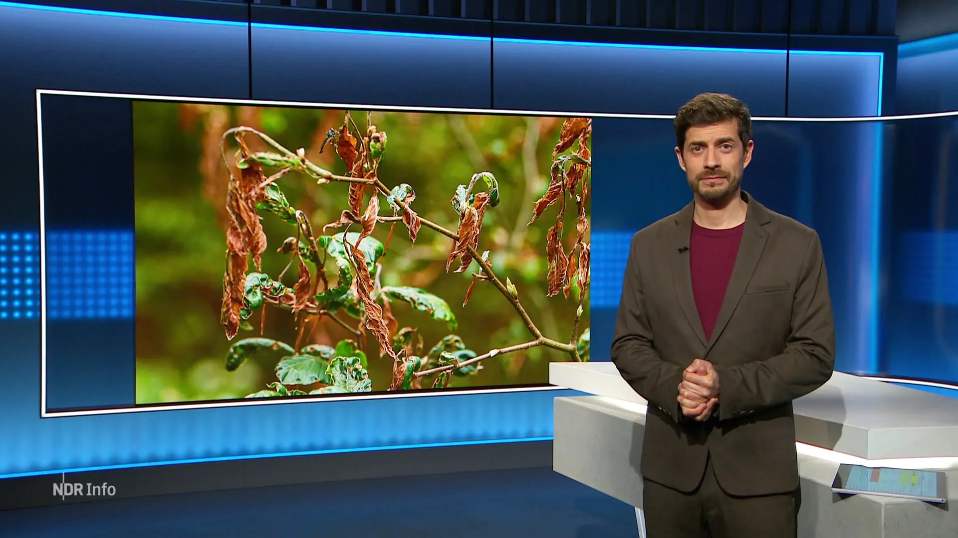 NDR Info 21:45 | 15.04.2025 | ndr.de