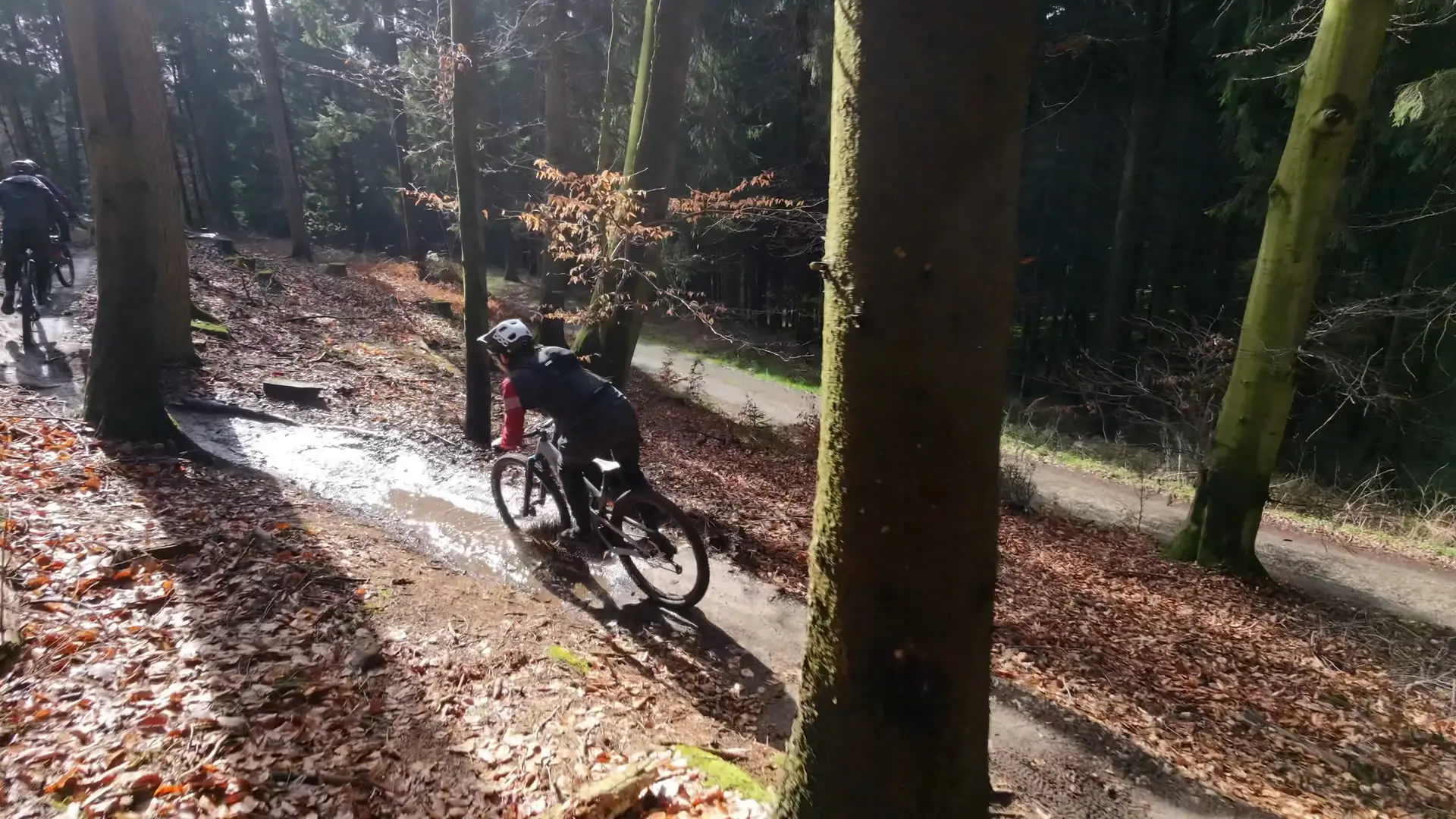 tente de toit 3 places Kumpel:41 collection-saldi Camping Blaarmeersen - Felice
