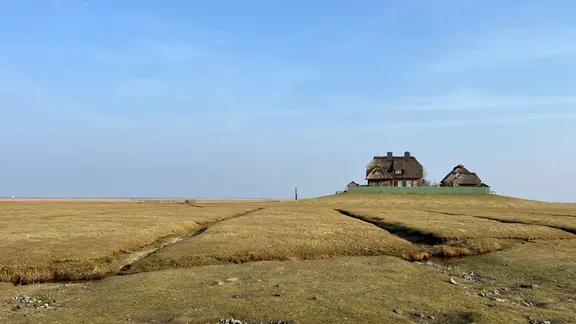 Die Häuser auf den Halligen sind auf Warften gebaut. Die künstlichen Hügel schützen sie und die Bewohner während einer Sturmflut. Landunter heißt es dann. Um die 30 mal im Jahr werden die Halligen von der Nordsee komplett überschwemmt.