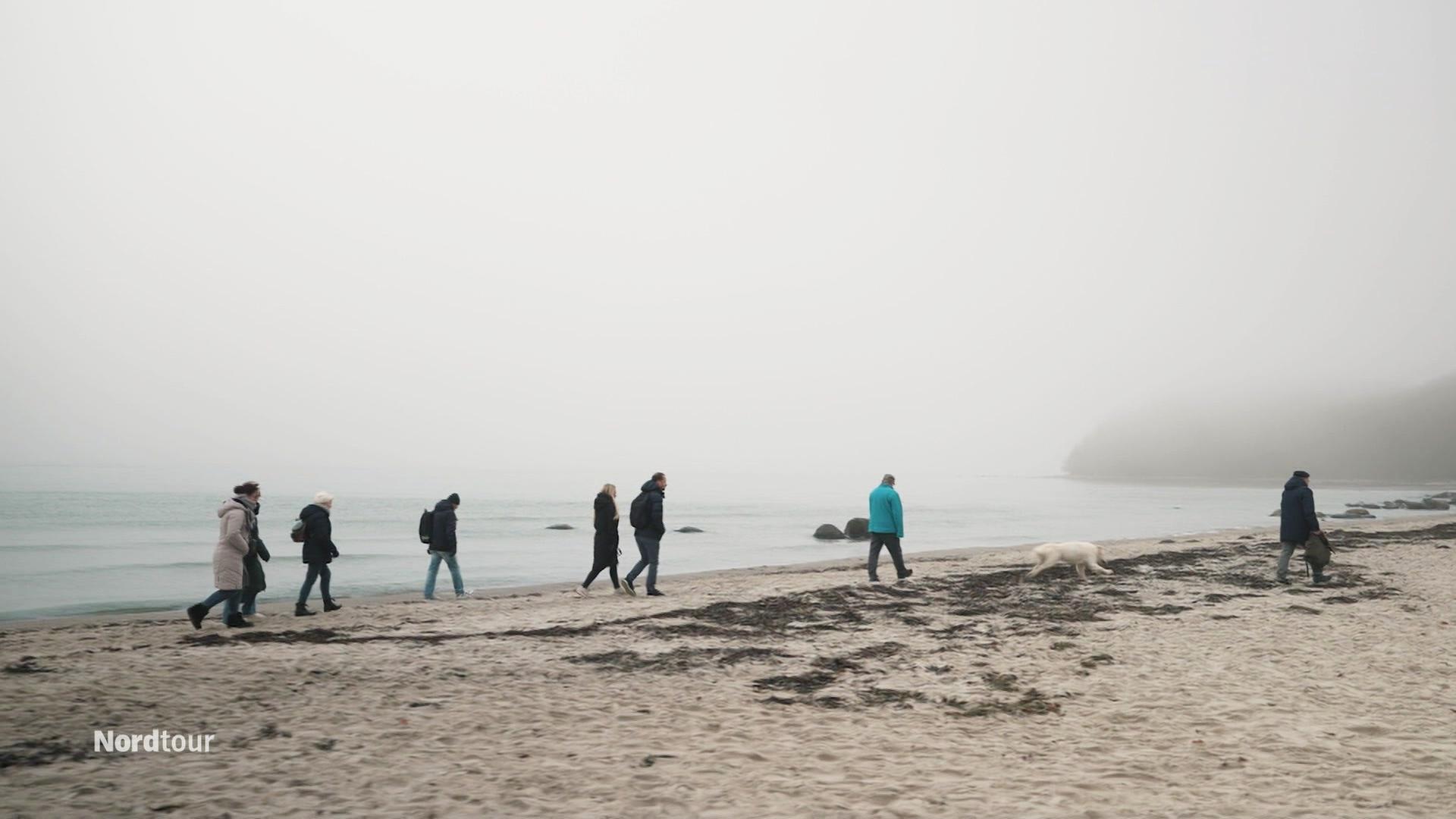 Eine Gruppe Menschen und ein Hund gehen einen nebligen Ostseestrand entlang. | Screenshot
