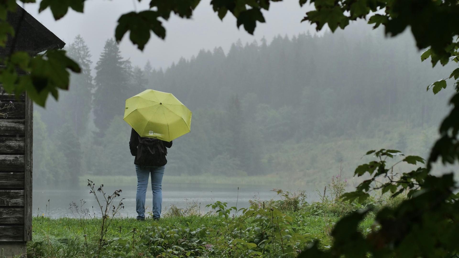 Eine Person mit Regenschirm steht im Spiegeltal zwischen Clausthal-Zellerfeld und Wildemann. | NDR, Thomas Schrader