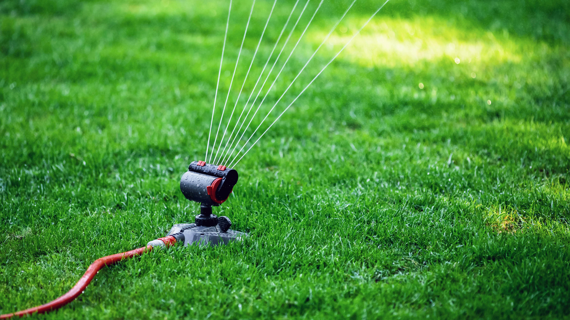 Illinois American Water Urges Summer Conservation to Prevent Waste