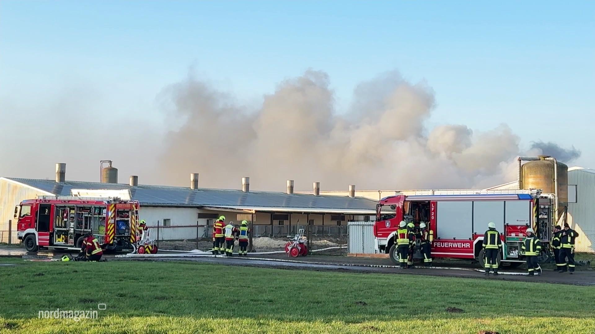 Brand in Schweinestall in Siedenbollentin