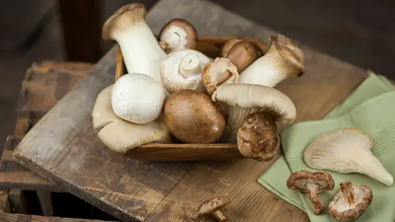 Verschiedene Pilze liegen auf einen Holzbrett.