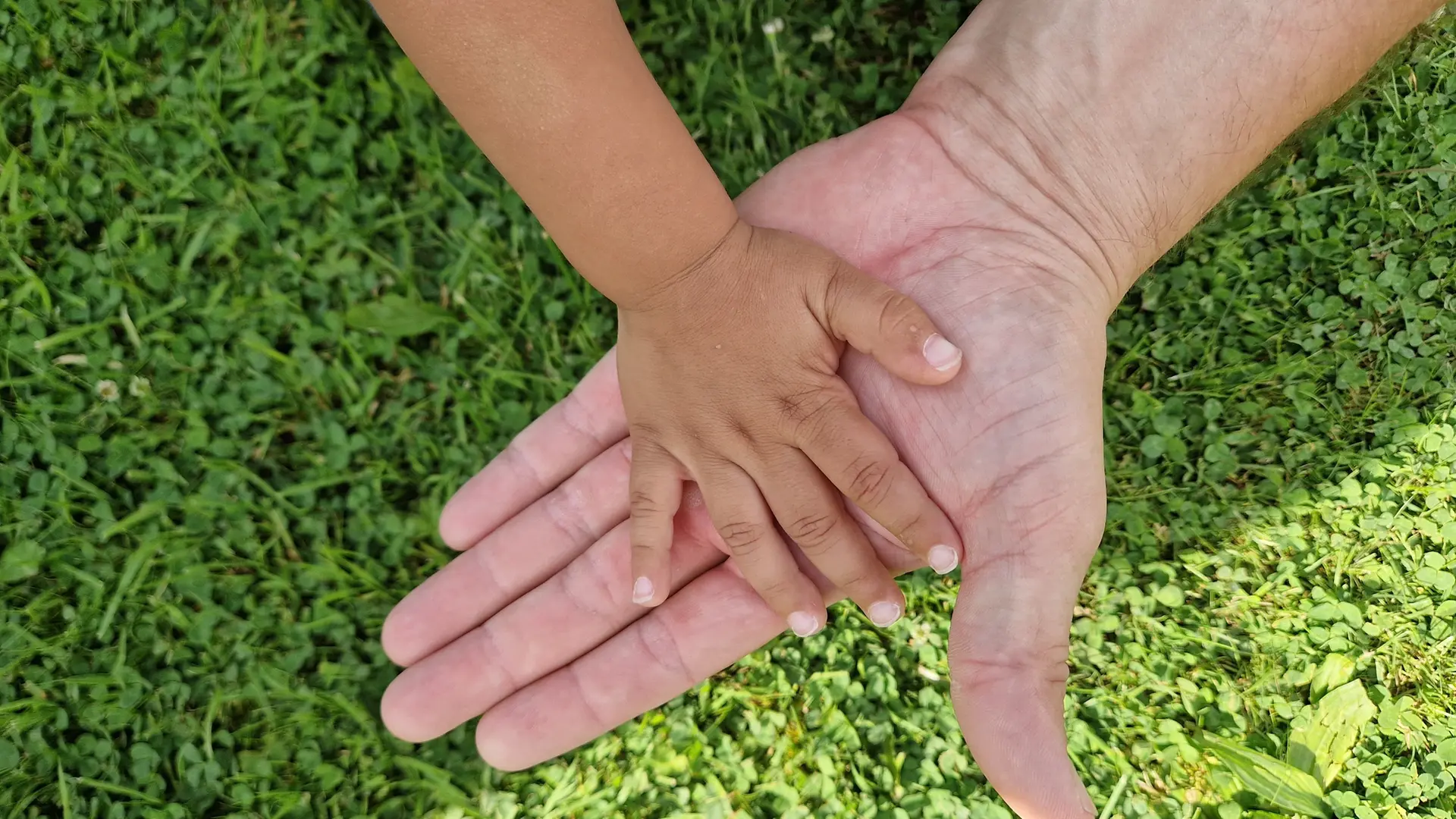 Kinder ohne Zuhause: Pflegeeltern dringend gesucht