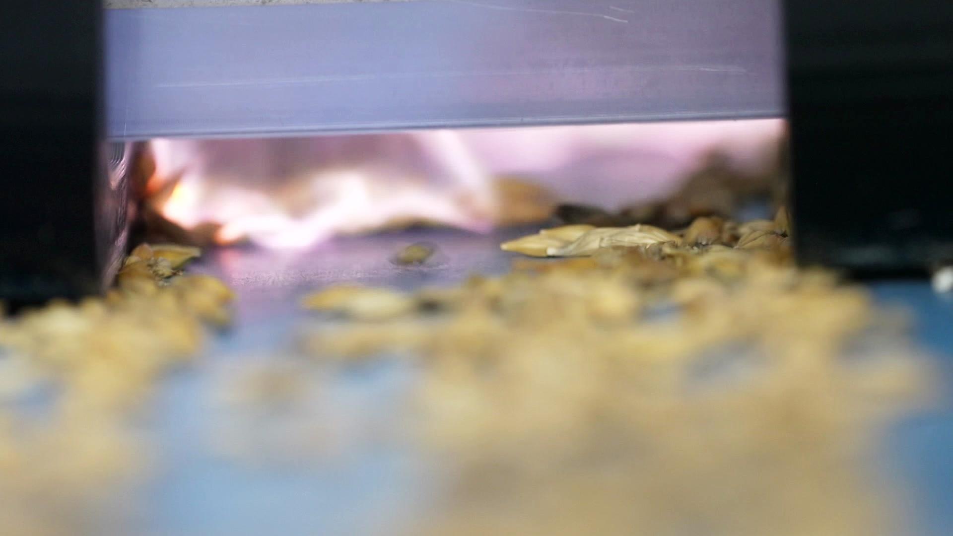 Preis für Forscherteam aus Neubrandenburg