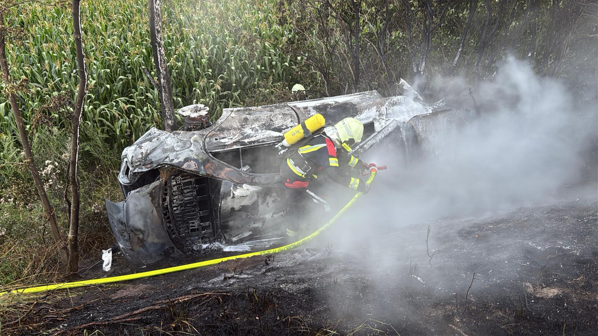 Bei Friedland: Auto fängt nach Wildunfall Feuer