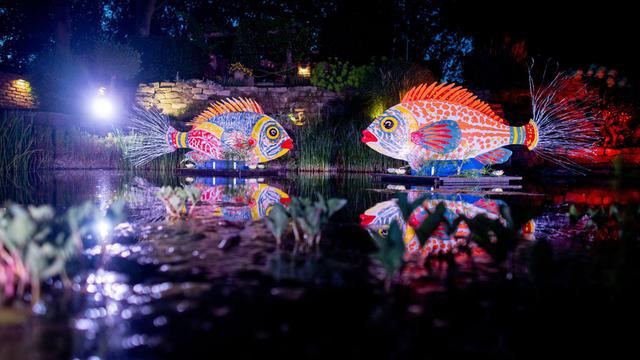 Lichtzauber beim Park der Gärten in Bad Zwischenahn