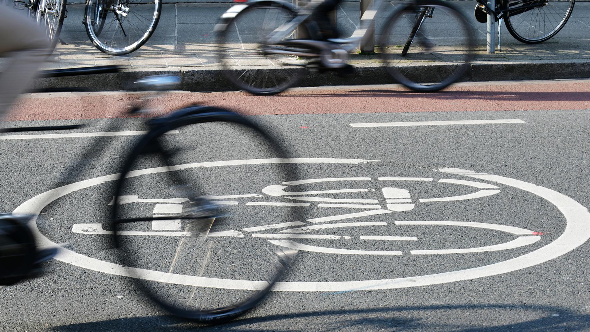 Fahrradstraße macht Petridamm in Rostock sicherer