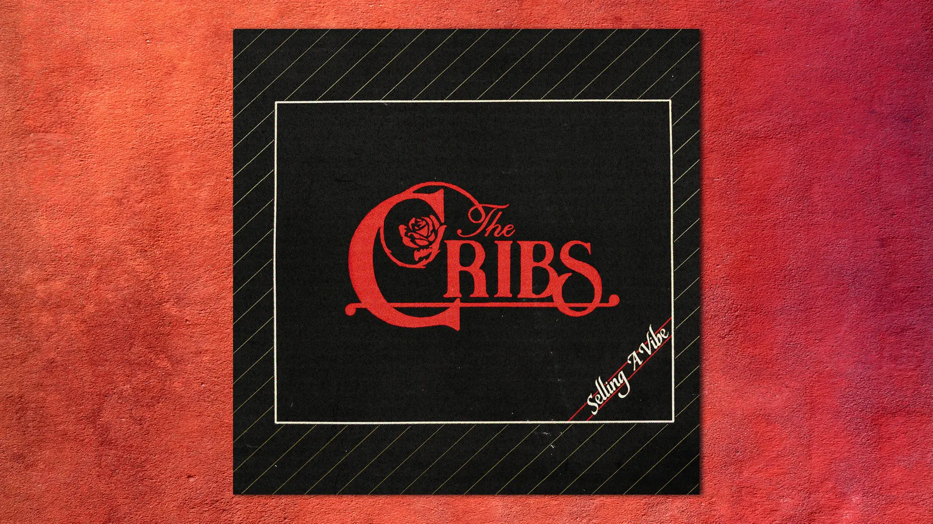 "Selling A Vibe": The Cribs starten nach Krisenjahren neu durch