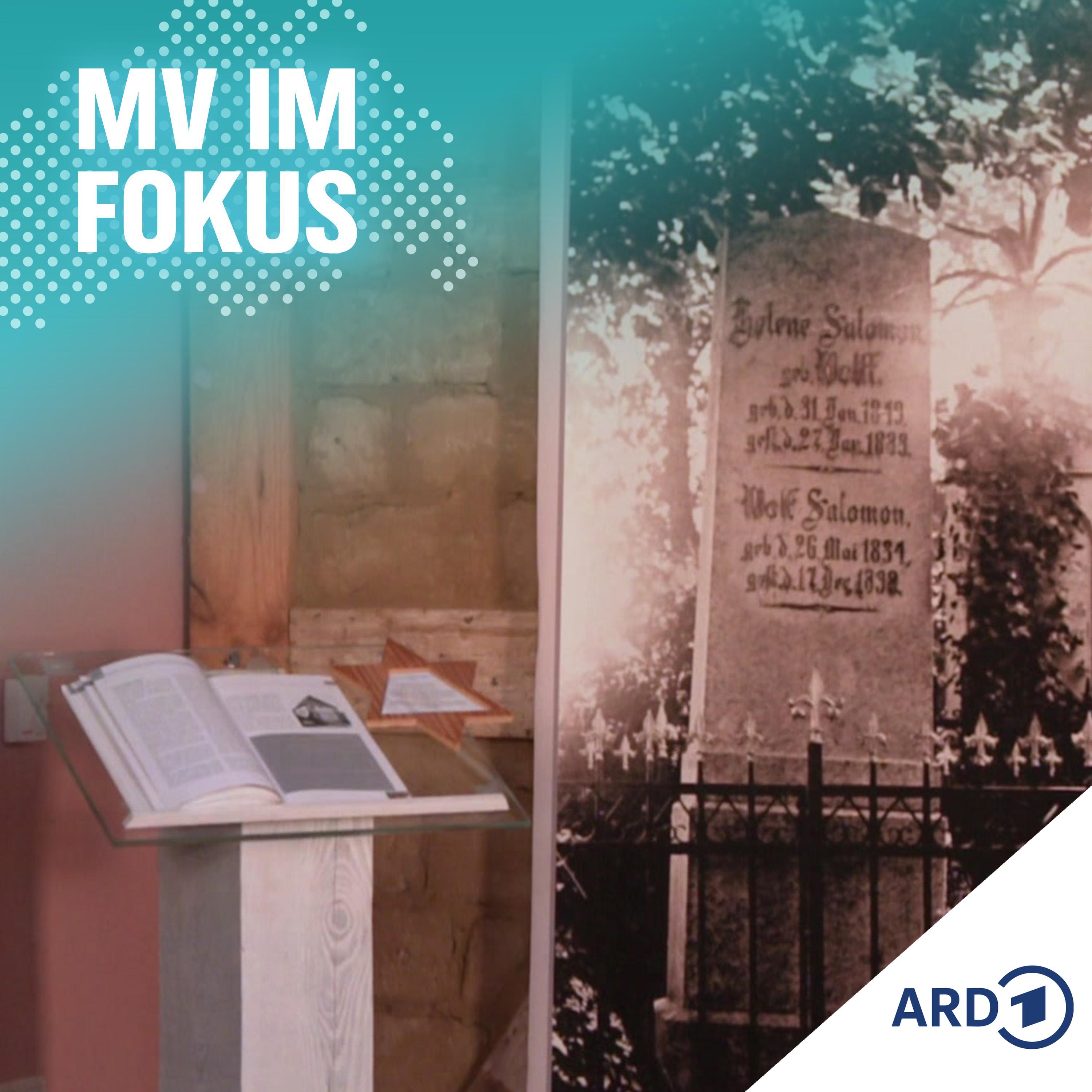 MV IM FOKUS - Darüber spricht Mecklenburg-Vorpommern!