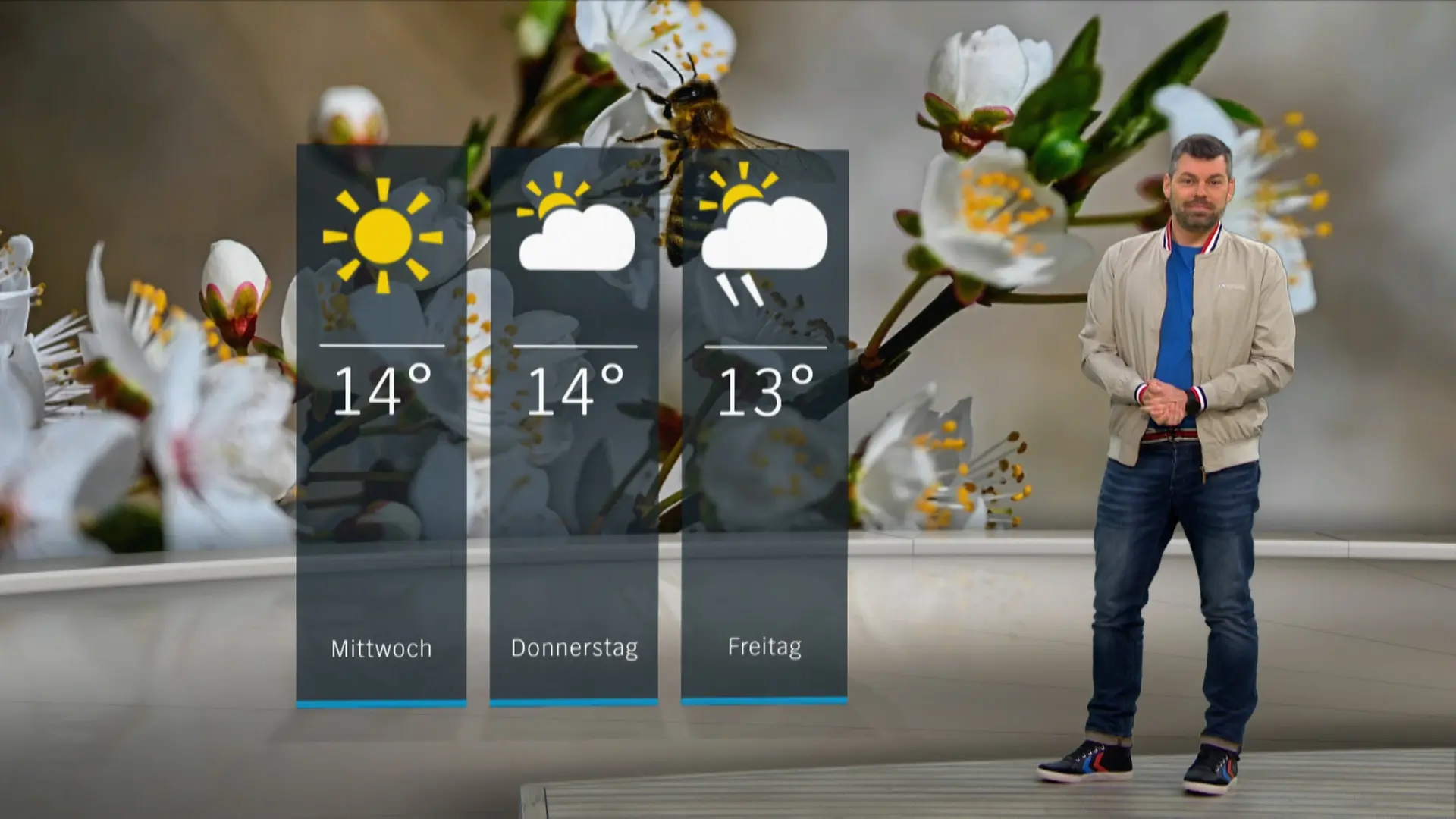 So wird das Wetter in Schleswig-Holstein
