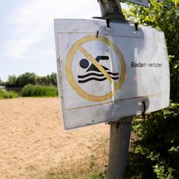 Ein "Baden verboten"- Schild steht an einem See beim Badestrand Diethe-Langern im Landkreis Nienburg.