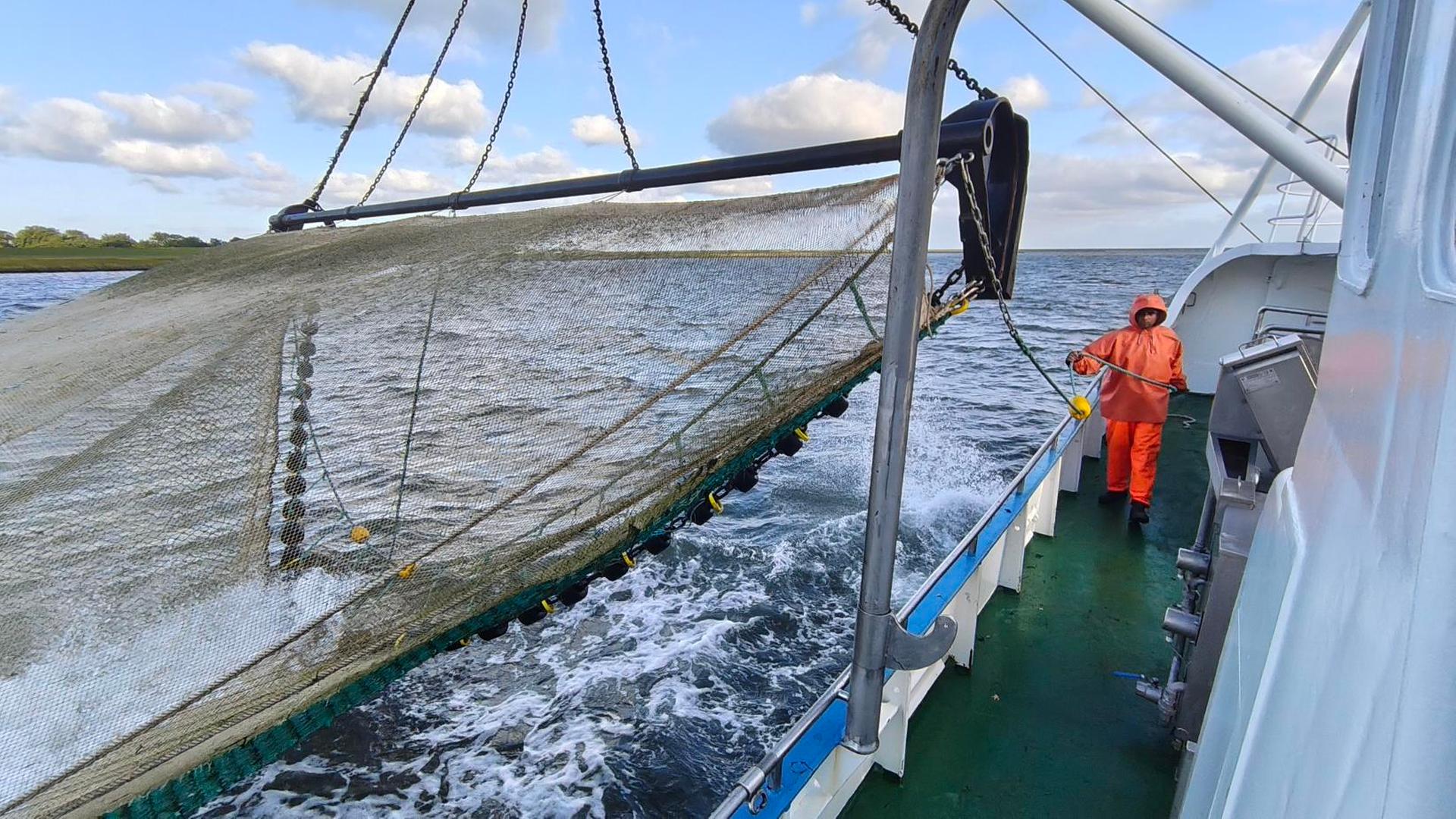Ein Fischer steht auf seinem Boot an einem Netz. | Sebastian Duden