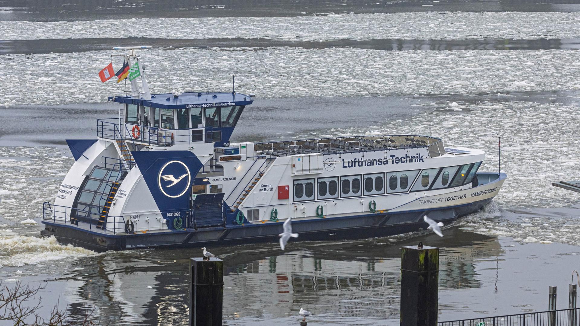 Fähren nach Finkenwerder: Ein Viertel mehr Ausfälle auf der Hauptlinie