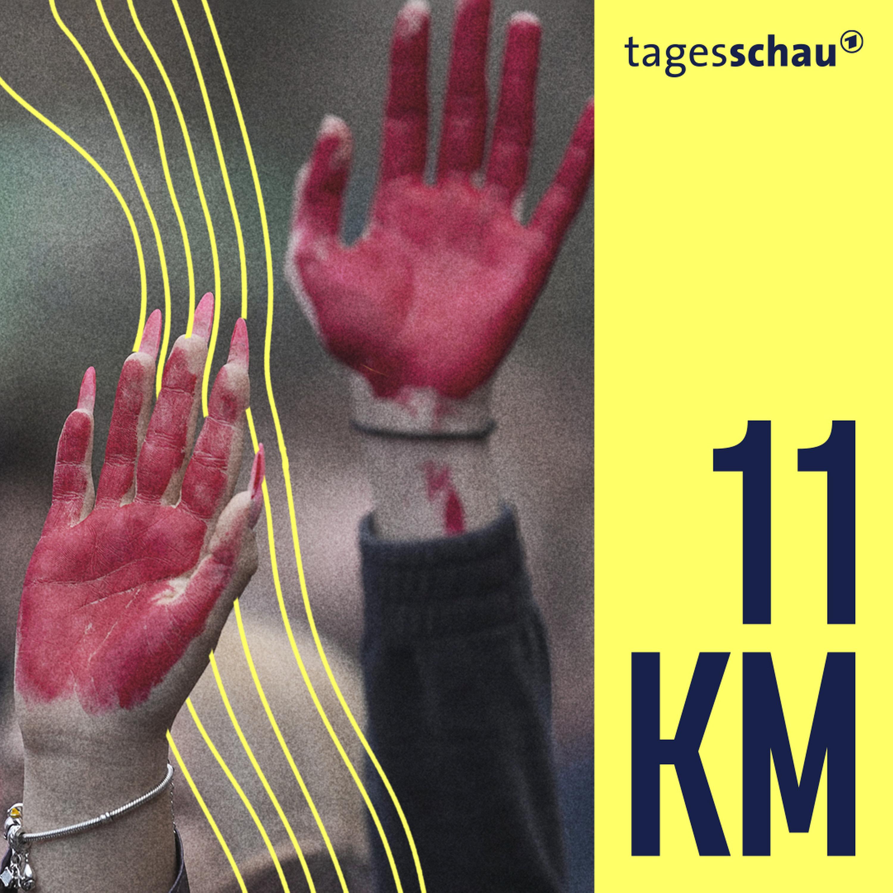 Proteste in Serbien: Ein Land am Wendepunkt?