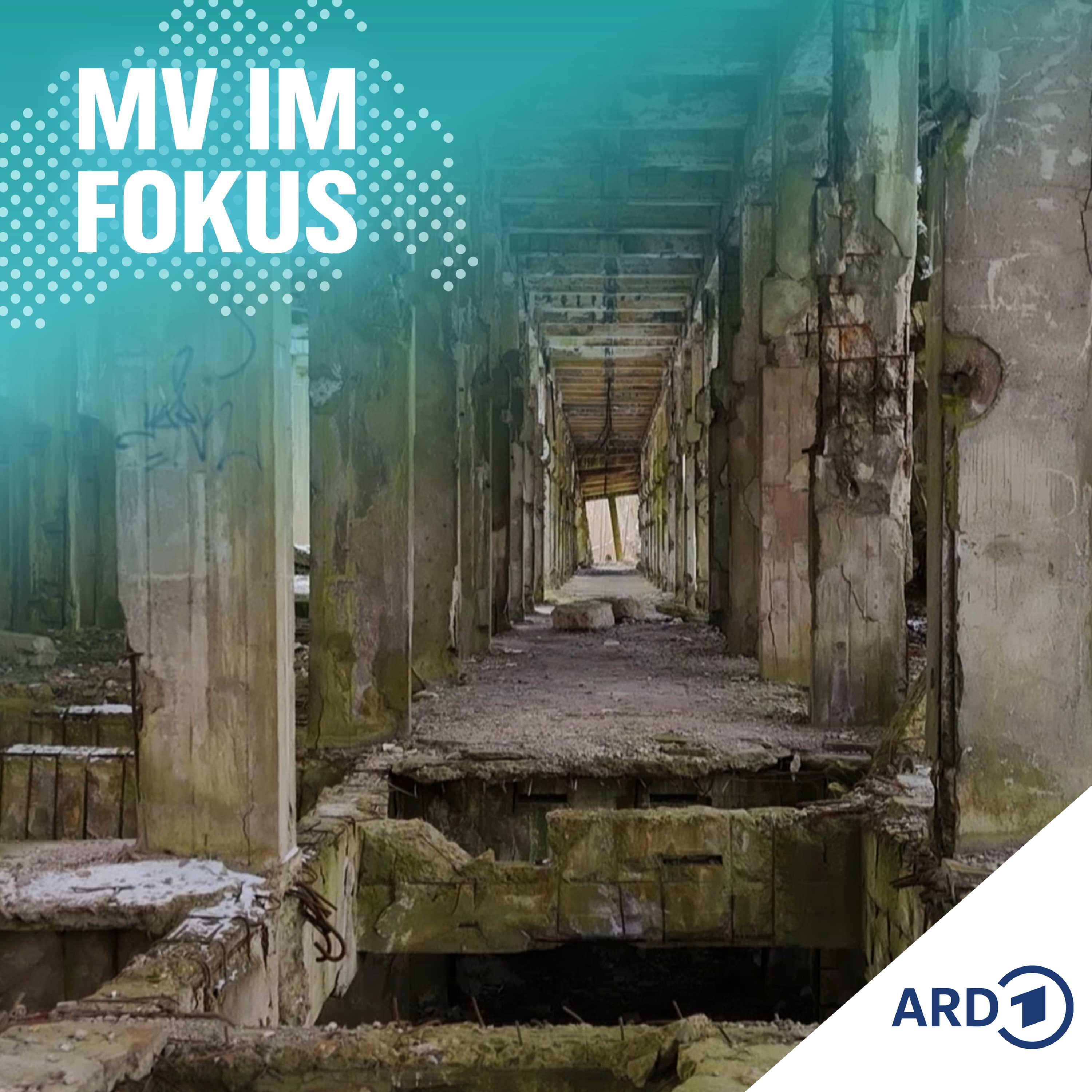 MV IM FOKUS - Darüber spricht Mecklenburg-Vorpommern!