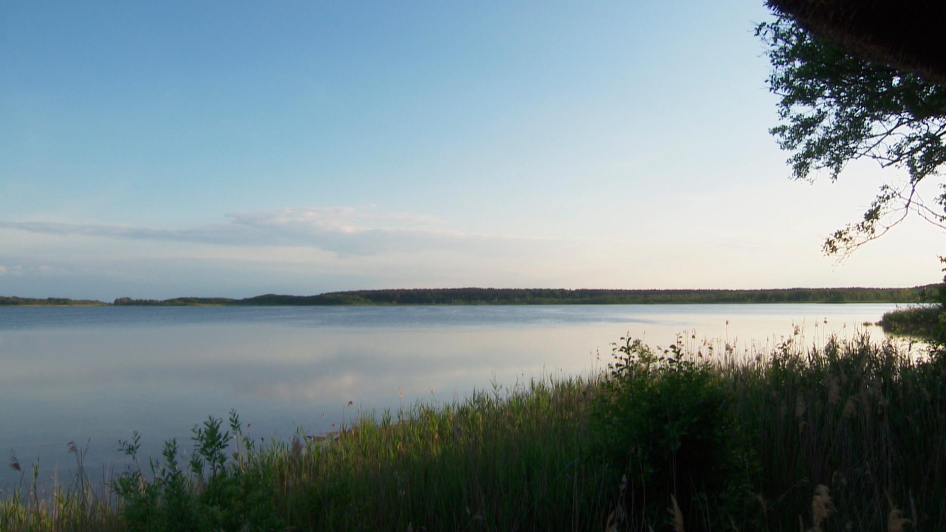 Müritz-Nationalpark erwartet Besucheransturm