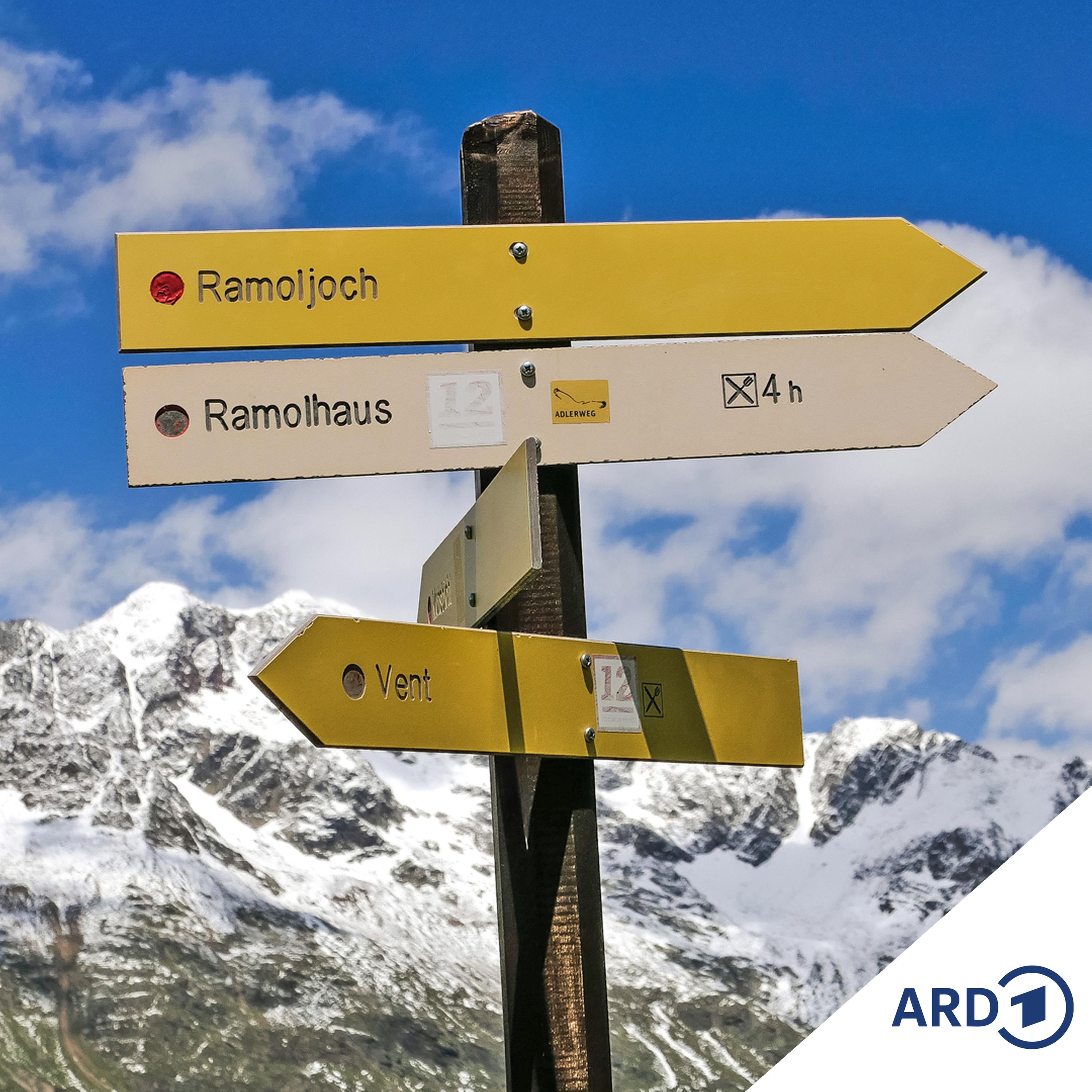 Zwischen Hamburg und Haiti