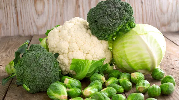 Brokkoli, Blumenkohl, Weißkohl und Rosenkohl