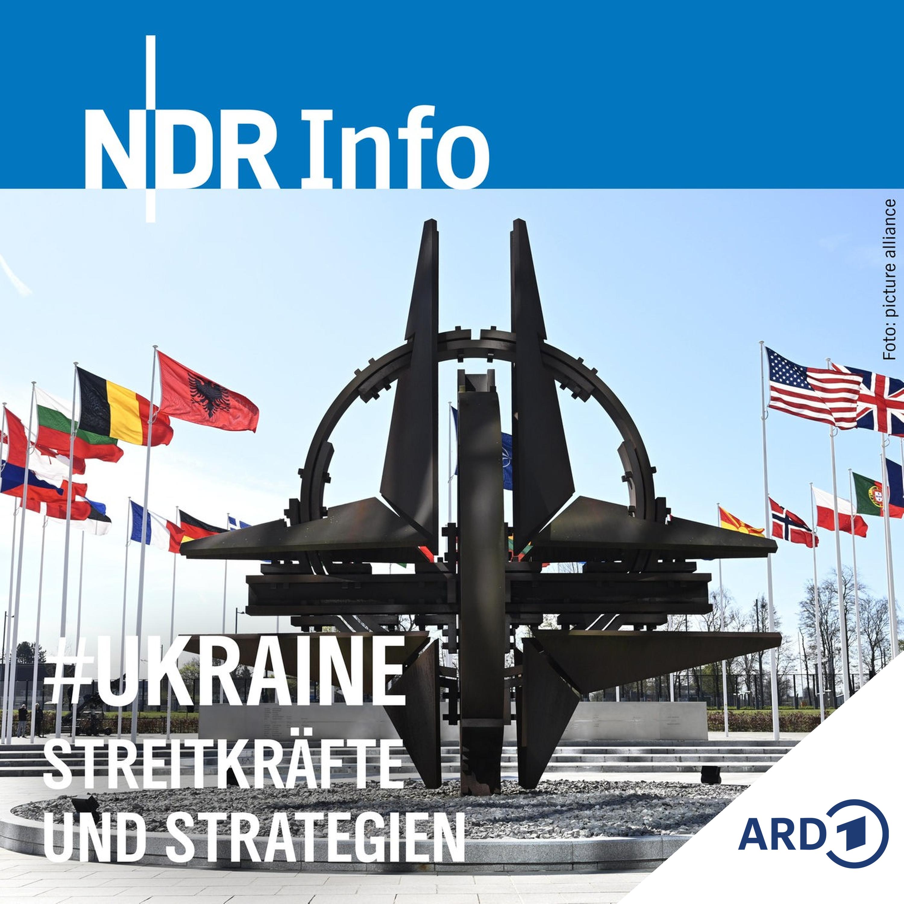 Streitkräfte und Strategien