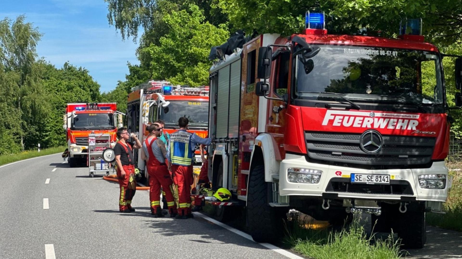 Kaltenkirchen: Waldbrand hält 60 Feuerwehrleute in Atem